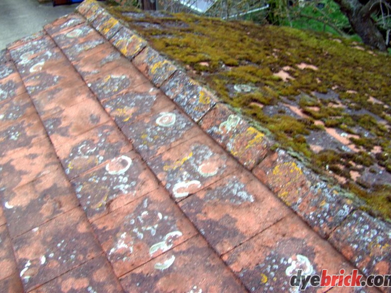 Roof After Scraping